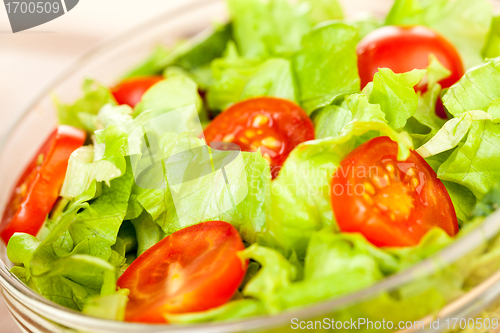 Image of Fresh salad