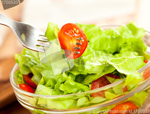 Image of Fresh salad