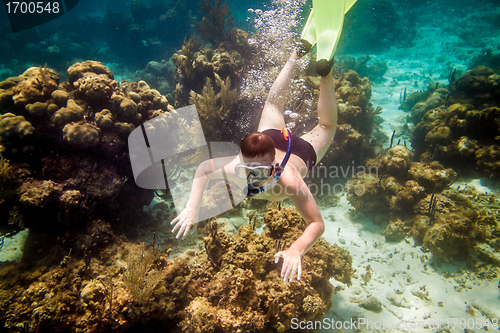 Image of Snorkeler