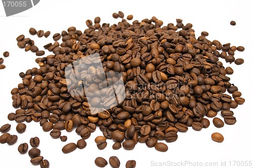 Image of Coffee Beans w/ White Background (Top View)