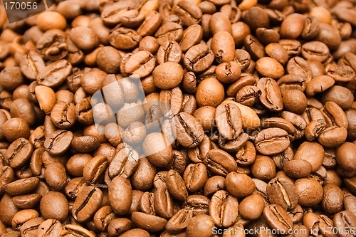 Image of Textures – Coffee Beans (Close Front View)