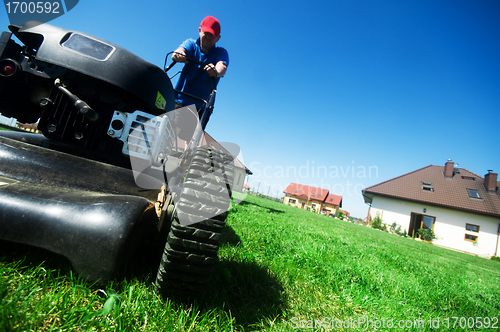 Image of Mowing the lawn