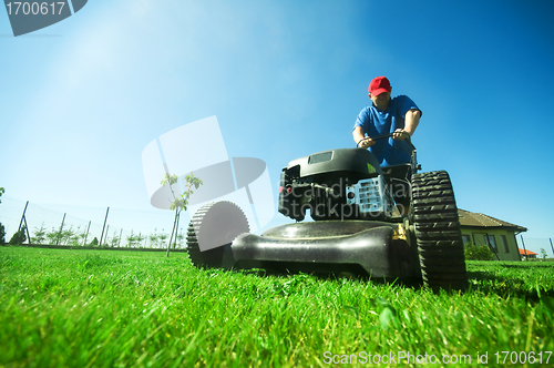 Image of Mowing the lawn