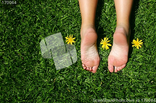 Image of Grass Feet