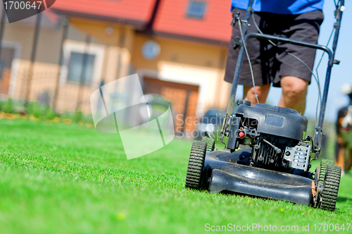 Image of Mowing the lawn