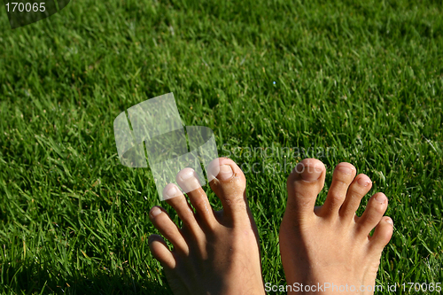 Image of Grass Feet Series