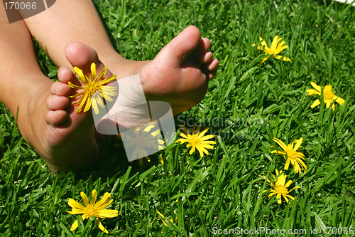 Image of Grass Feet 3