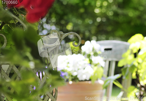 Image of tranquil home garden