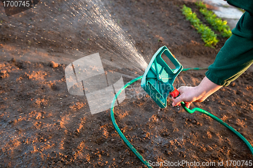 Image of Man watering the ground