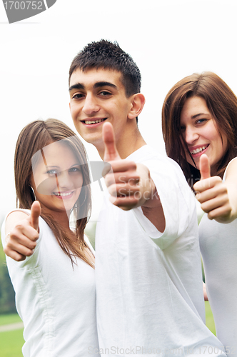 Image of Happy friends giving okey sign