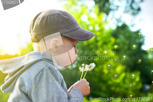 Image of Cute child blowing dandelion