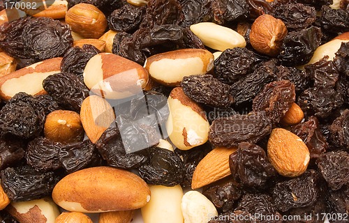 Image of Textures – Trail Mix