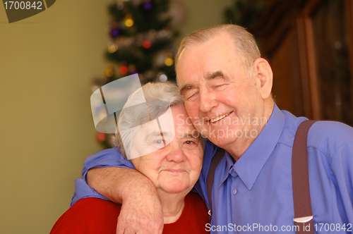 Image of Elderly happy couple