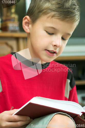 Image of Reading book