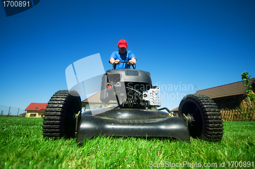 Image of Mowing the lawn
