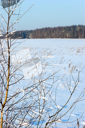 Image of Winter landscape