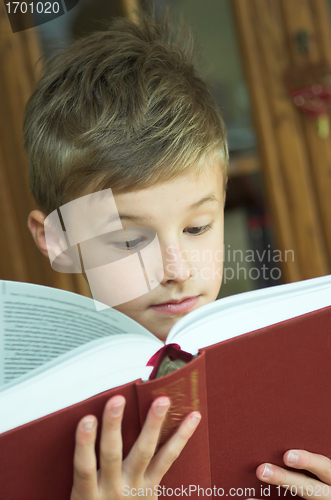 Image of Reading book