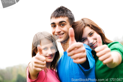 Image of Happy friends giving okey sign