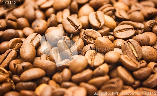 Image of Textures – Coffee Beans (Close Front View)