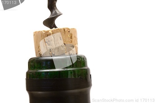 Image of Wine Bottle Closeup (Side View)