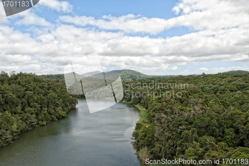 Image of Rain Forest on the road to Kuranda