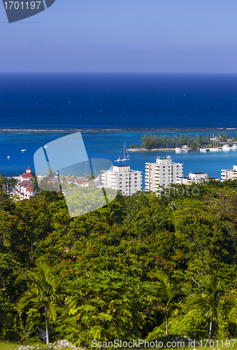 Image of Vegetation in Ocho Rios