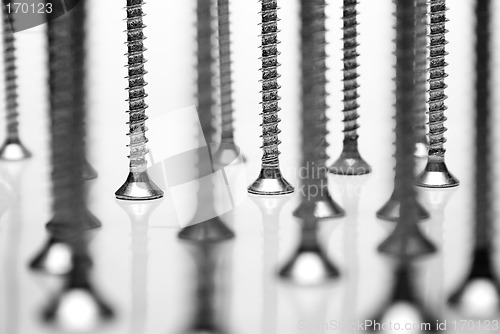 Image of Standing Screws