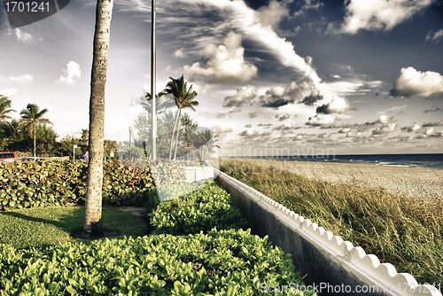 Image of Colors of Miami in Florida