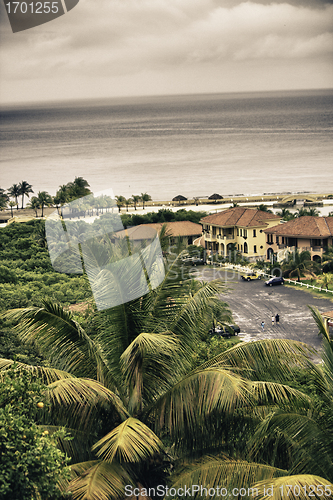 Image of Vegetation and Nature of Honduras