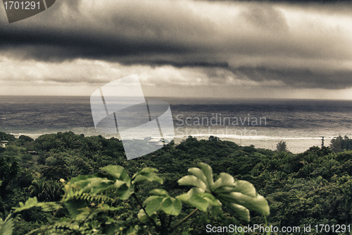 Image of Vegetation and Nature of Honduras