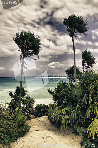 Image of Famous archaeological ruins of Tulum in Mexico