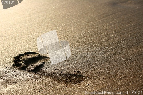 Image of Sand Footprint