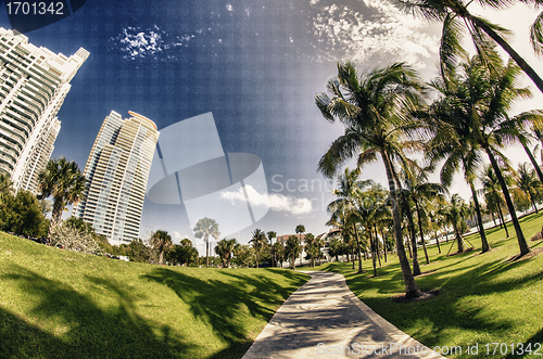 Image of Walkway in a beautiful Park