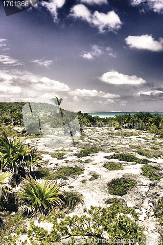 Image of Sea Colors near Maya Ruins in Tulum, Yucatan