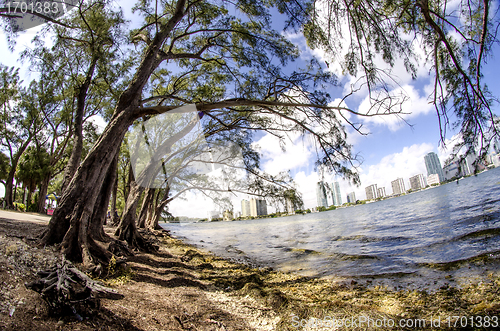 Image of Trees and Vegetation in a beautiful Park