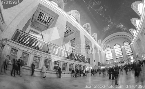 Image of People and Tourists moving in Grand Central