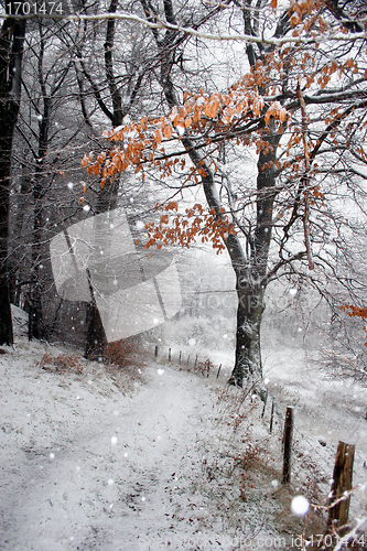 Image of danish winter 