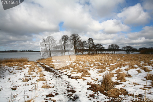 Image of lake