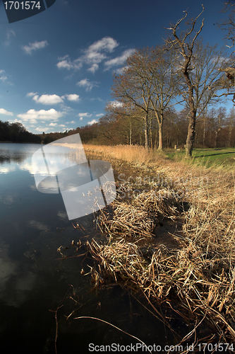 Image of lake forest
