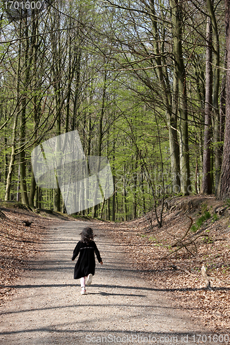 Image of spring forest