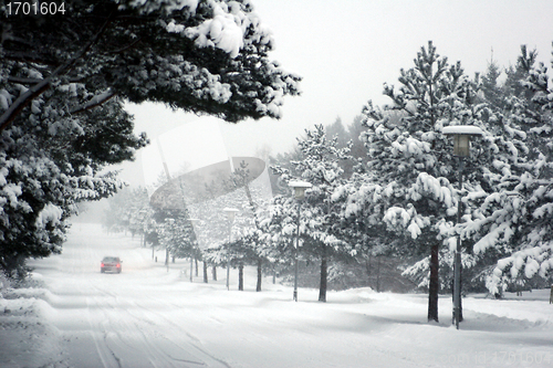 Image of snowy winter