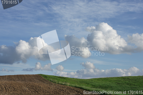 Image of Sky over green field