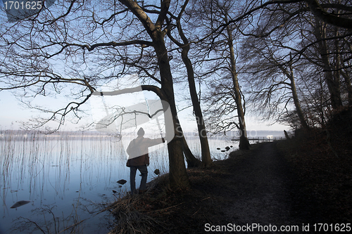 Image of lake forest