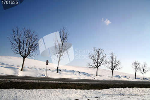 Image of winter in denmark