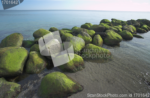 Image of ocean stones