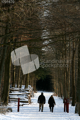 Image of winter in denmark