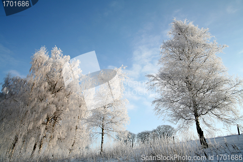 Image of winter in denmark
