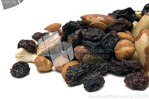 Image of Trail Mix (Front View)