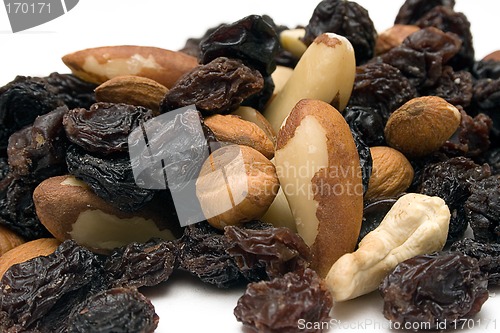 Image of Trail Mix (Close Front View)