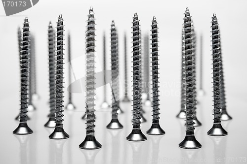 Image of Standing Screws